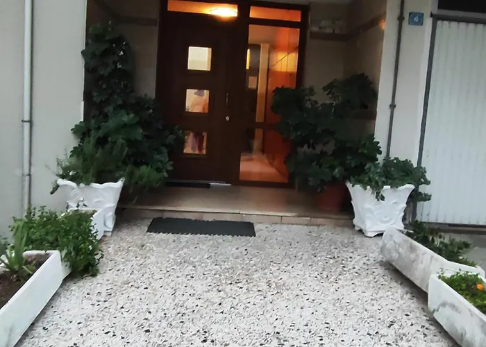 Φουντούκι *